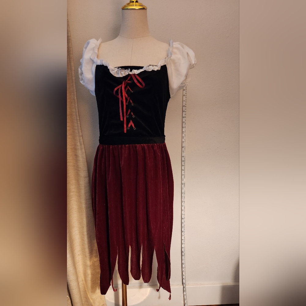 Womens Pirate Costume